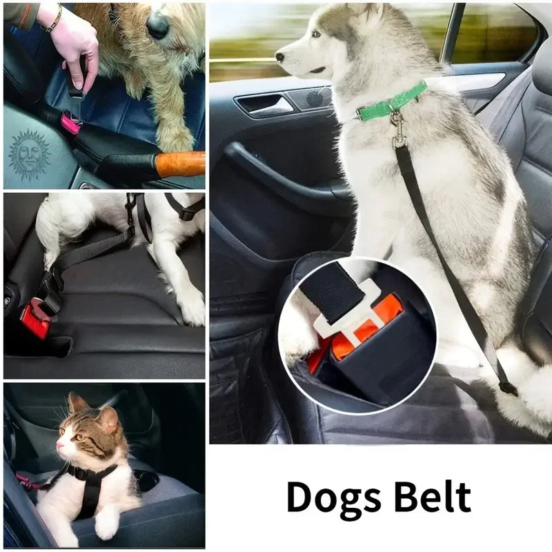 Adjustable Harness and Leash Cat Dog Car Seat Belt