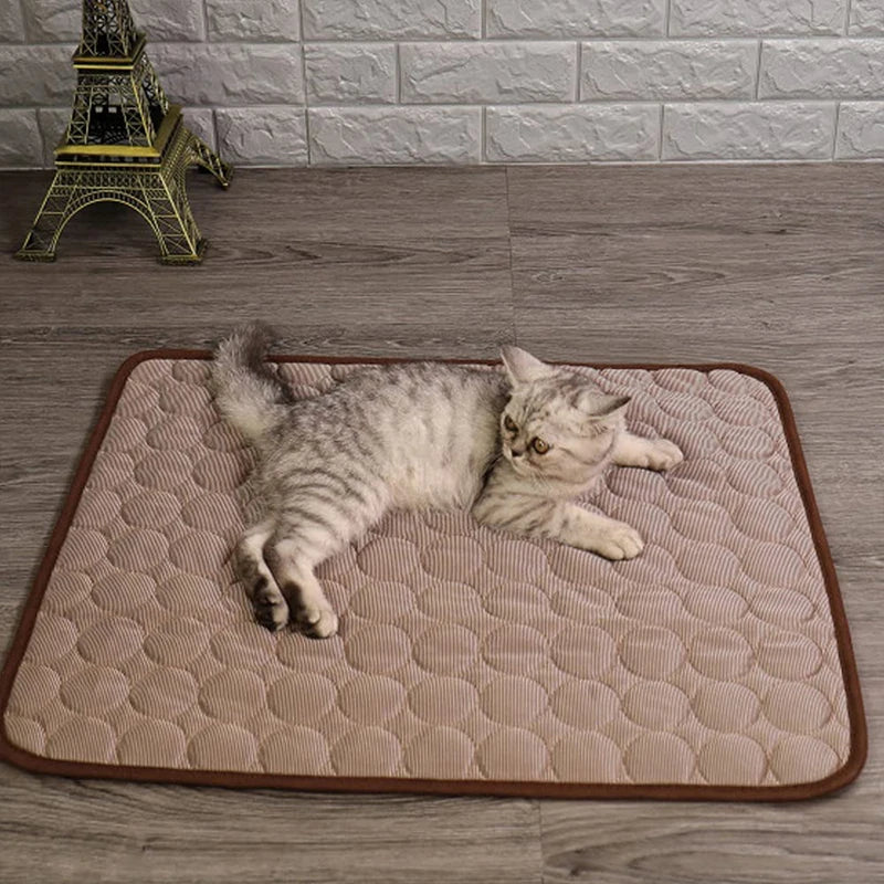 Summer Pet Ice Pads