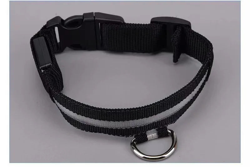 Glowing collar nylon collar dog leash