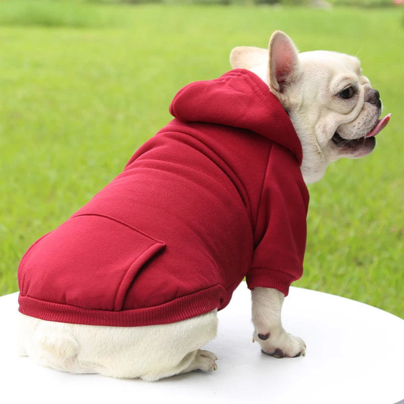 Ropa de moda para perros Otoño 