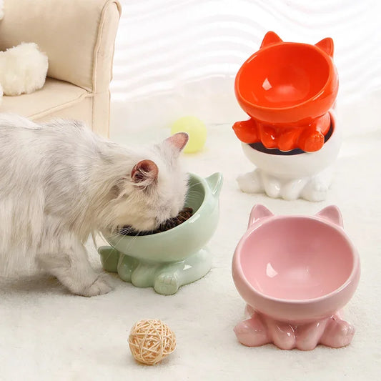 Ceramic Pet  Bowl