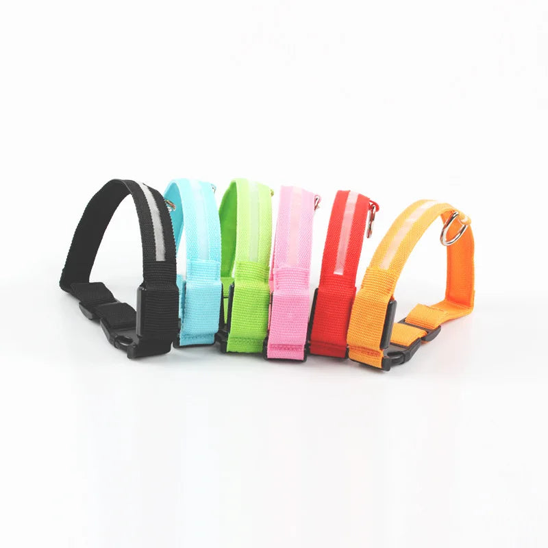 Glowing collar nylon collar dog leash