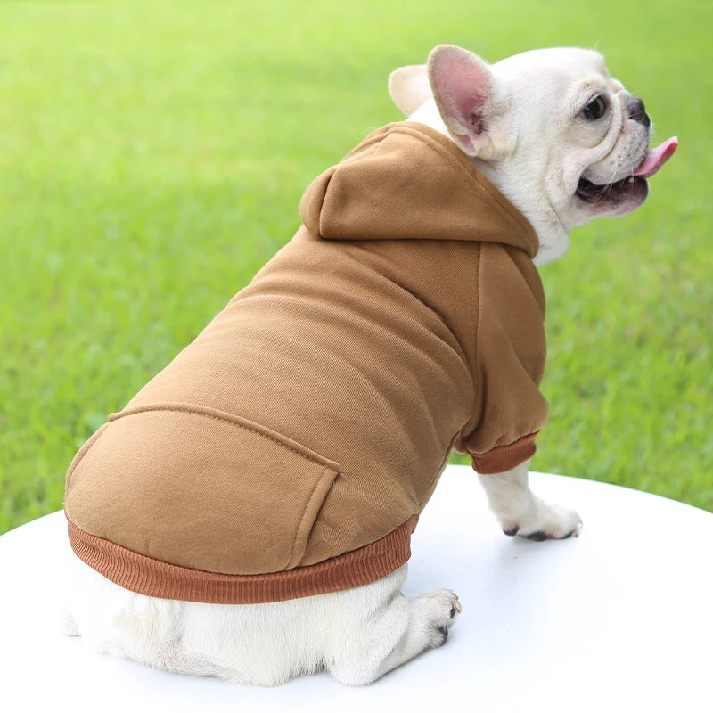 Ropa de moda para perros Otoño 