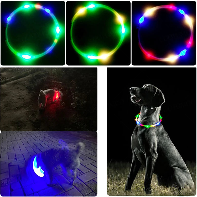 4 Modes Dog Luminou Charge Collar Led Usb