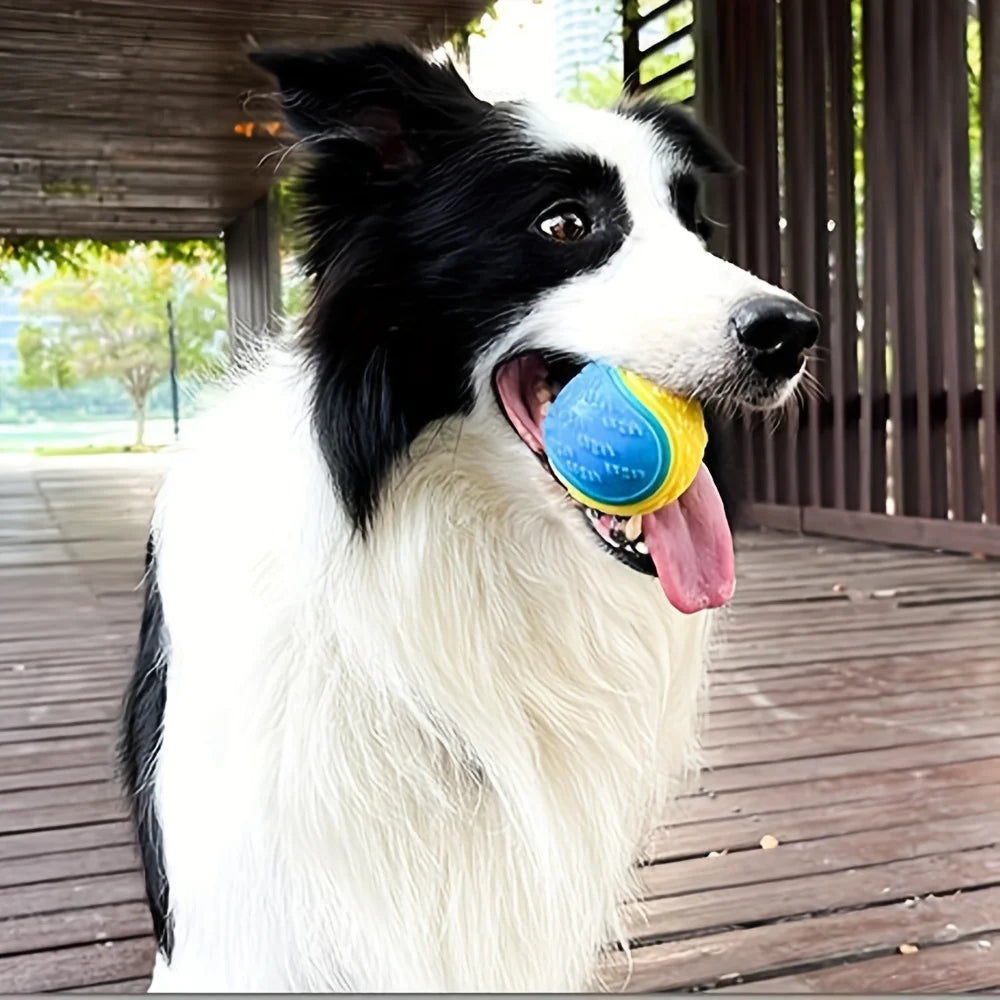 Dog Toy Durable Crew Ball