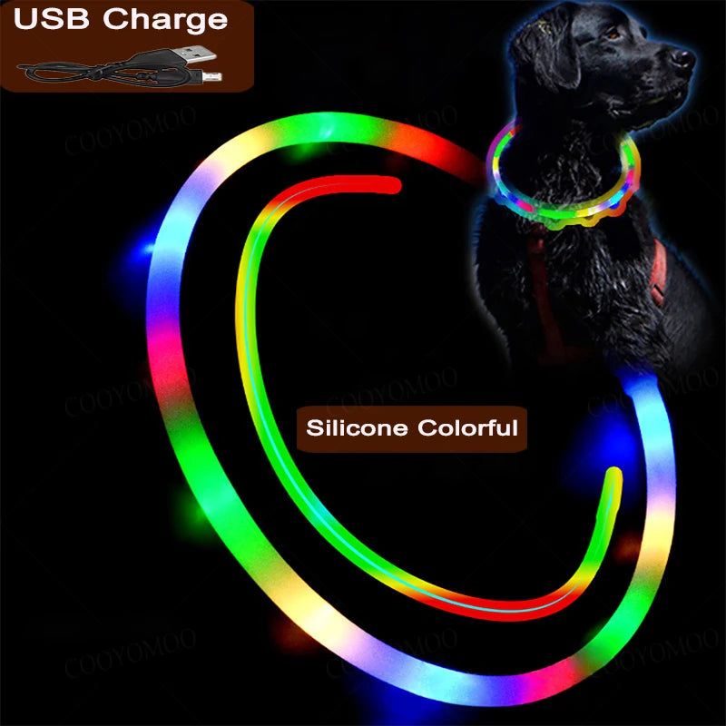 4 Modes Dog Luminou Charge Collar Led Usb