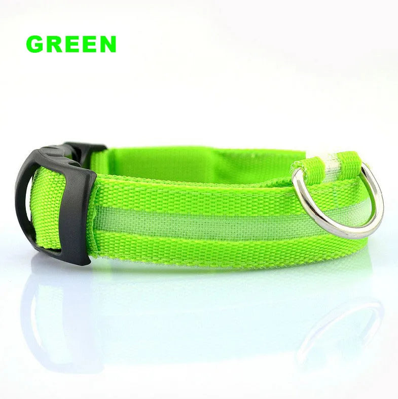 Glowing collar nylon collar dog leash