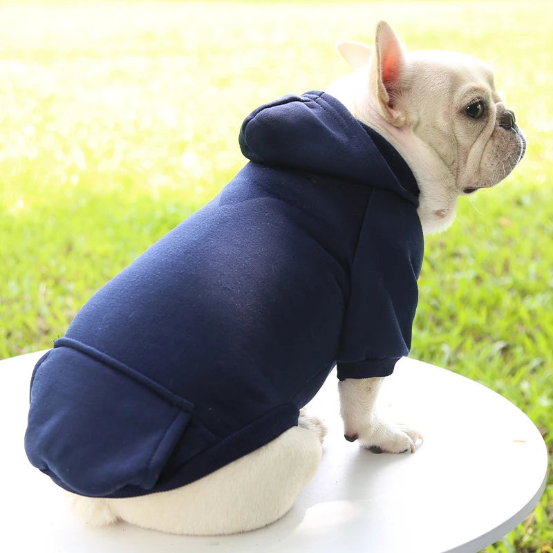 Ropa de moda para perros Otoño 