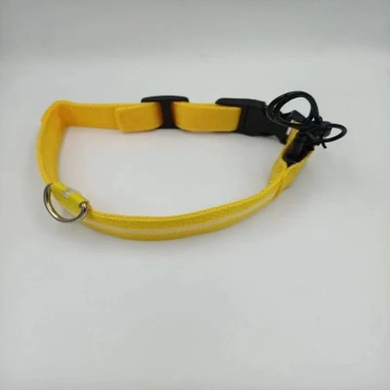 Glowing collar nylon collar dog leash