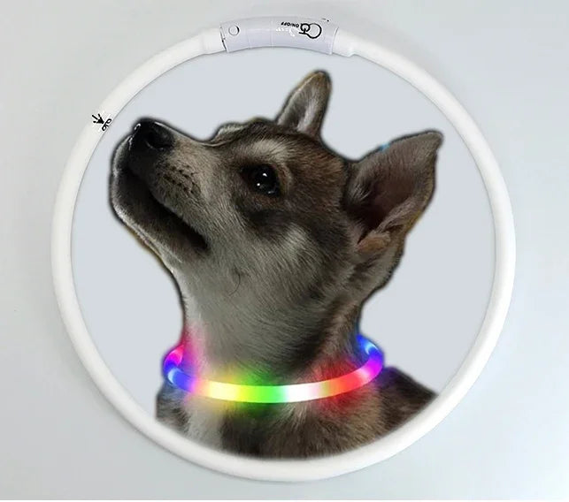 4 Modes Dog Luminou Charge Collar Led Usb