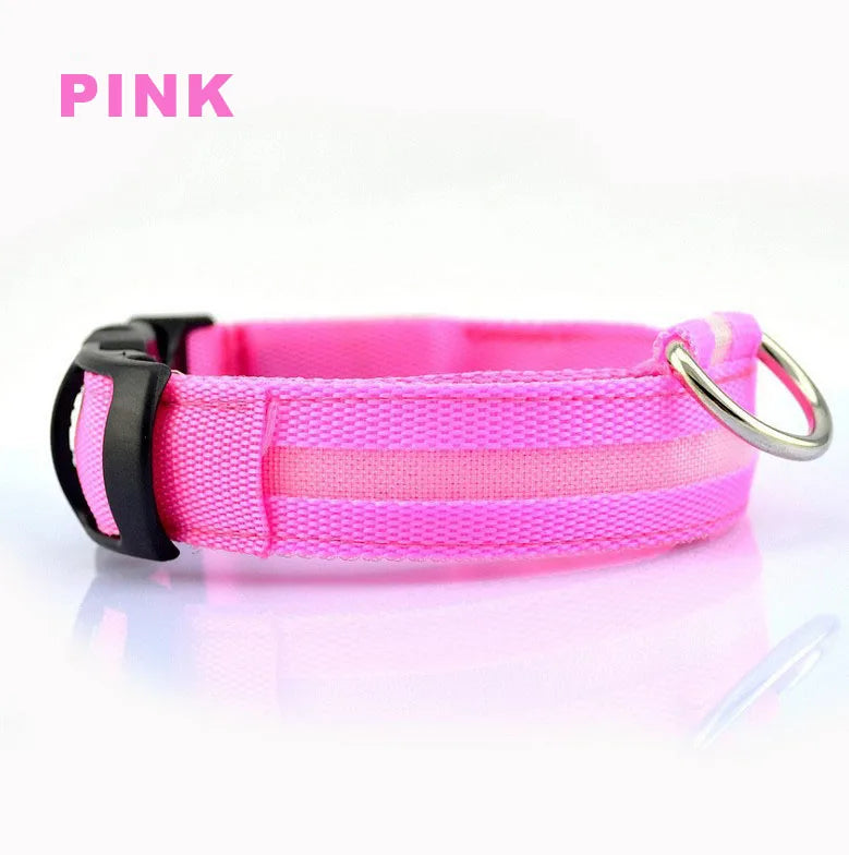 Glowing collar nylon collar dog leash