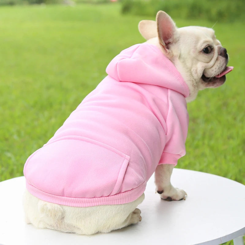 Ropa de moda para perros Otoño 