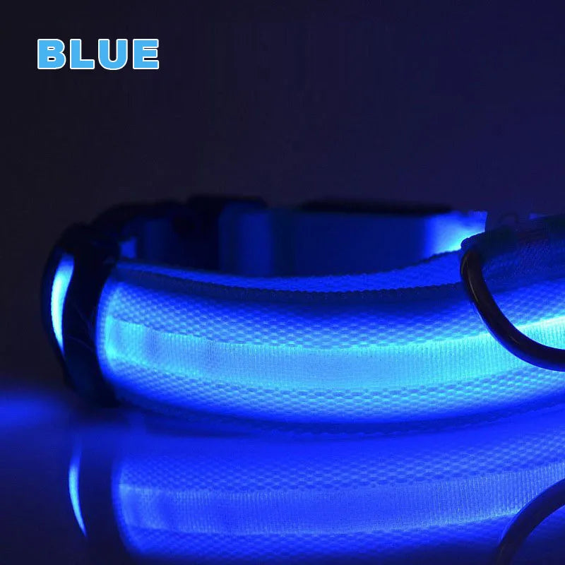 Glowing collar nylon collar dog leash