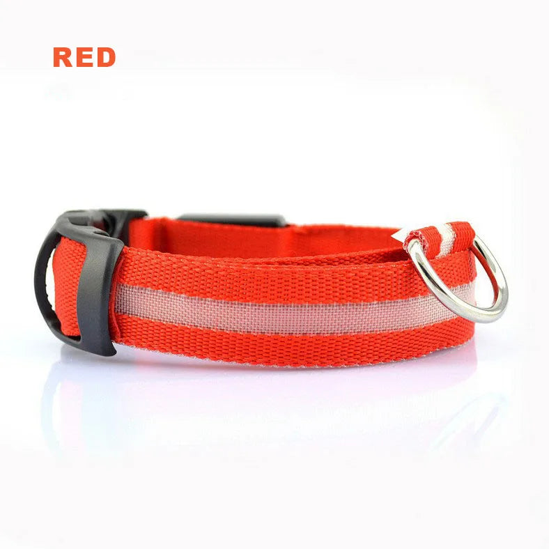 Glowing collar nylon collar dog leash