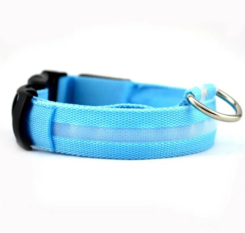 Glowing collar nylon collar dog leash