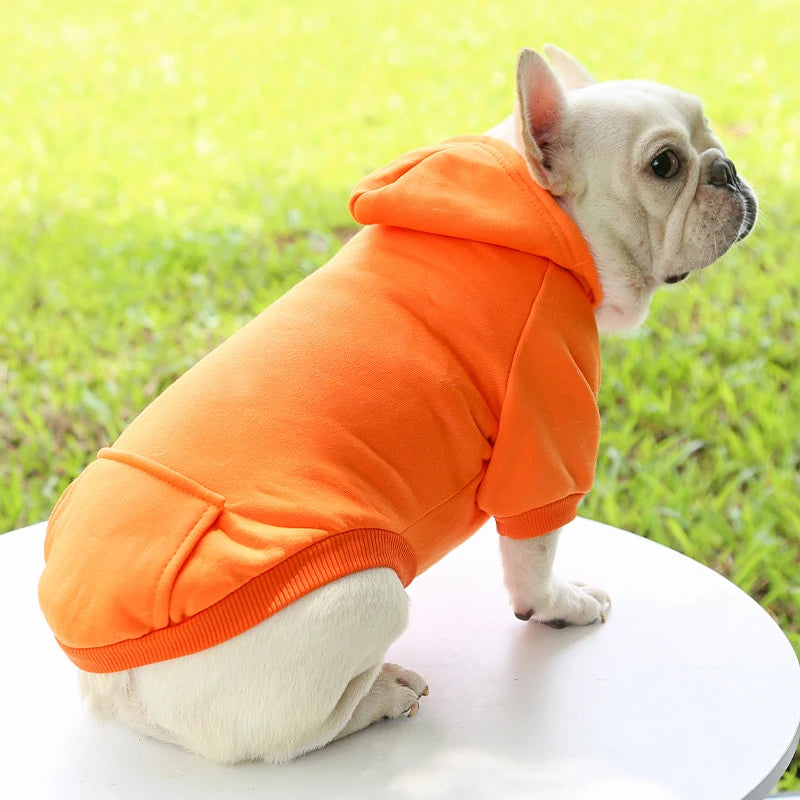 Ropa de moda para perros Otoño 